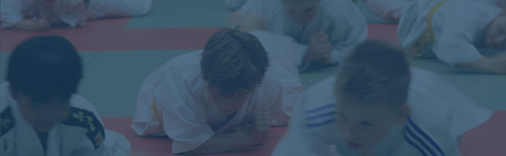 Welkom op de website van Judo Vereniging Ootmarsum